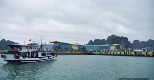 du-lich-vinh-bai-tu-long-chua-mat-phi