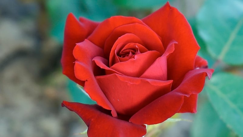 nguoi-sinh-vao-4-thang-am-lich-nay,-nhanh-nhay,-gioi-nam-bat-co-hoi,-tien-bac-ao-ao-chay-vao-tui