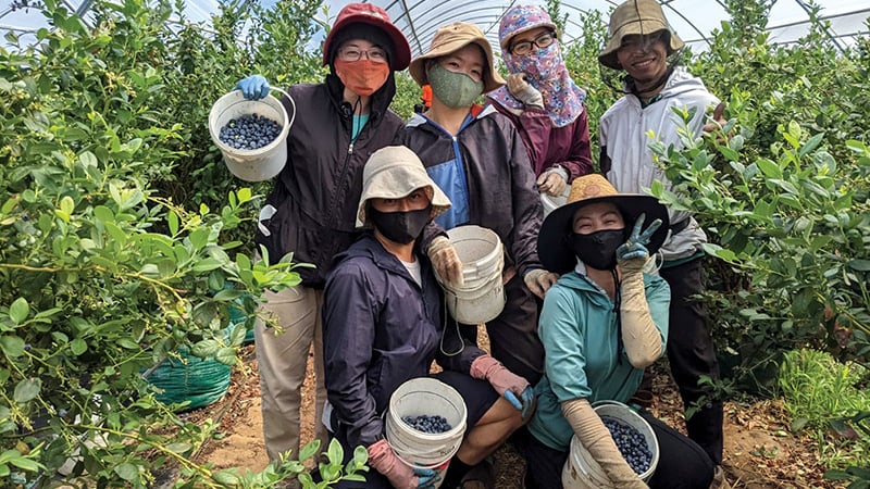 bo-noi-vu-khuyen-cao-lua-dao-dua-lao-dong-di-lam-viec-tai-israel