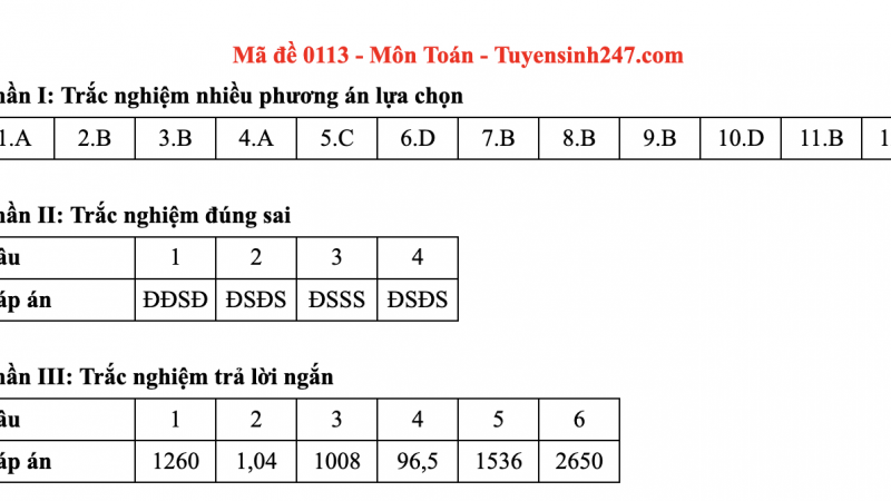 dap-an-mon-toan-ma-de-113-thi-tot-nghiep-thpt-2025-chuong-trinh-moi