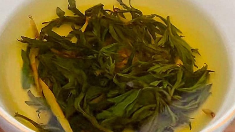 loai-rau-dai-la-vi-thuoc-quy-o-viet-nam,-bao-boi-cua-phu-nu,-mua-he-lam-tra-uong-nuoi-duong-co-the