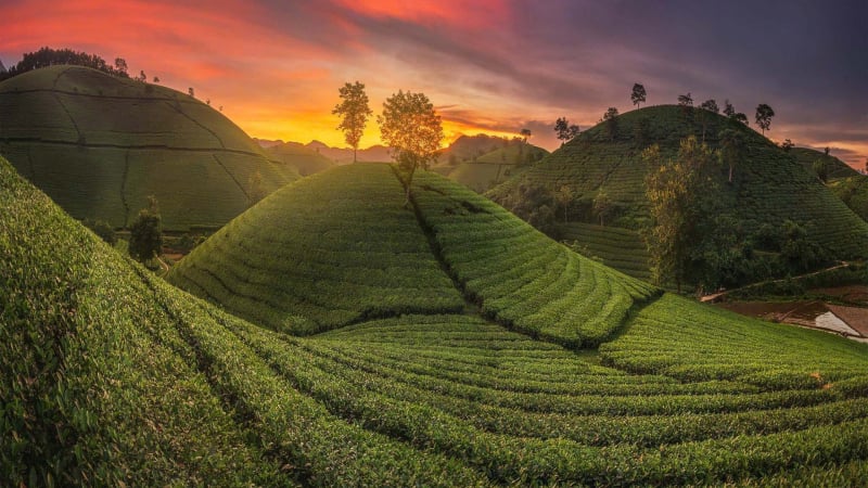 tinh-phu-tho-moi:-sac-xanh-uon-luon-nhu-rong-danh-thuc-ca-vung-doi-tinh-giac-giua-may-som