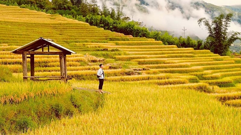 phong-tam-mat-ngam-mua-vang-tay-bac-ruc-ro-nhat-nam,-khong-check-in-o-day-thi-qua-phi!