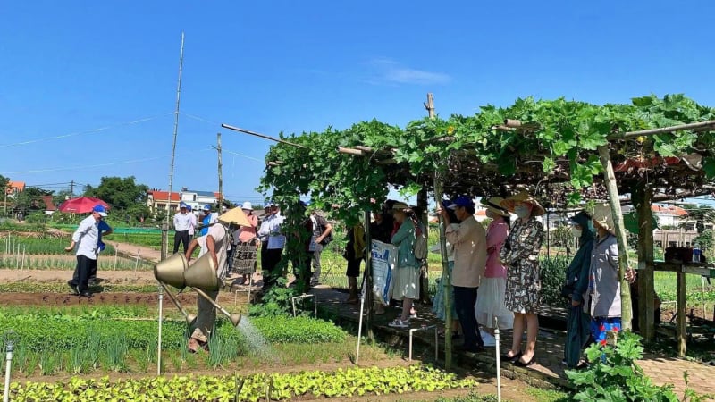 da-nang-manh-tay-dep-nan-karaoke-lon-tieng-tai-“lang-du-lich-tot-nhat-the-gioi”