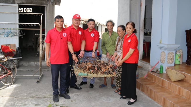 hai-phong-trao-sinh-ke,-thap-sang-hy-vong-cho-nguoi-dan-kho-khan