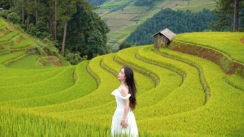 mua-vang-tay-bac:-dep-nghet-tho,-dau-la-thua-ruong-bac-thang-khien-hoi-me-xe-dich-“phat-cuong”?