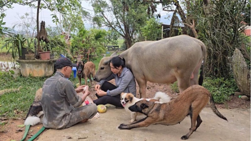 thu-vi-hanh-trinh-tu-chu-nghe-lac-rung-thanh-thu-cung-duoc-yeu-chieu