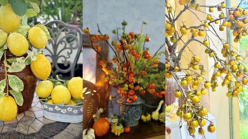 me-man-nhung-binh-qua-dam-chat-thu-cua-cac-chi-dep