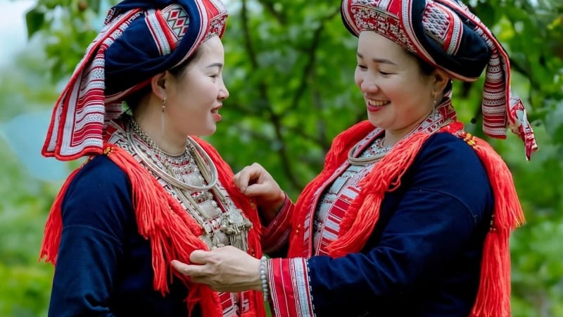 ho-thau-–-“vua-tra”,-noi-chieu-lau-thi-hung-vi,-ky-bi-le-nhay-lua-va-tiem-nang-“vang”-cho-nha-dau-tu