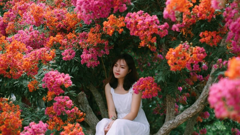nguoi-sinh-ngay-am-lich-nay-am-ap,-diu-dang,-cuoc-song-nhu-ruou-lau-nam,-cang-u-cang-nong-duom
