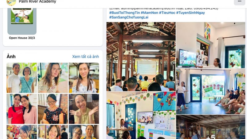 da-nang-xu-phat-35-trieu-dong-trung-tam-anh-ngu-palm-river-academy-vi-hang-loat-sai-pham