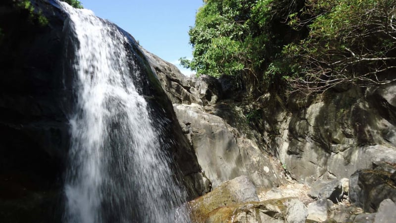 doc-dao-buc-tranh-thuy-mac-giua-long-dai-ngan-tam-my,-da-nang