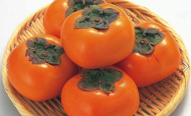 loai-qua-dang-vao-mua-o-viet-nam,-duoc-vi-nhu-thuoc-bo-cuc-tot-cho-suc-khoe