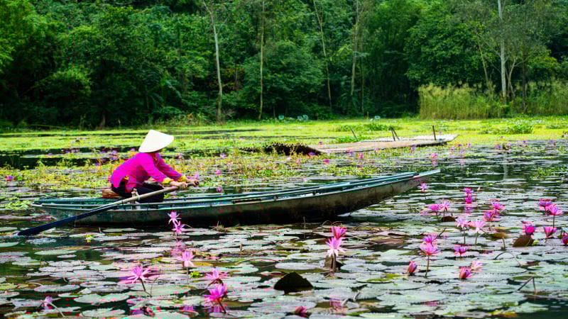 ngo-ngang-canh-dep-mua-thu-tren-dong-song-ngo-dong