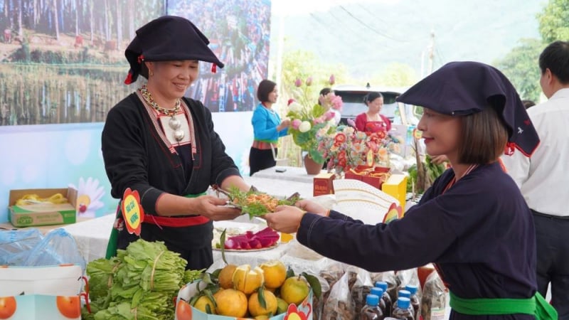 don-luc-lam-doi-thay-vung-dong-bao-dan-toc-thieu-so-o-phu-tho