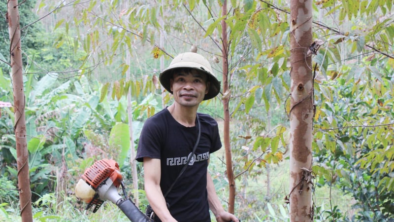 nong-dan-dang-van-am-thoat-can-ngheo-tu-rung