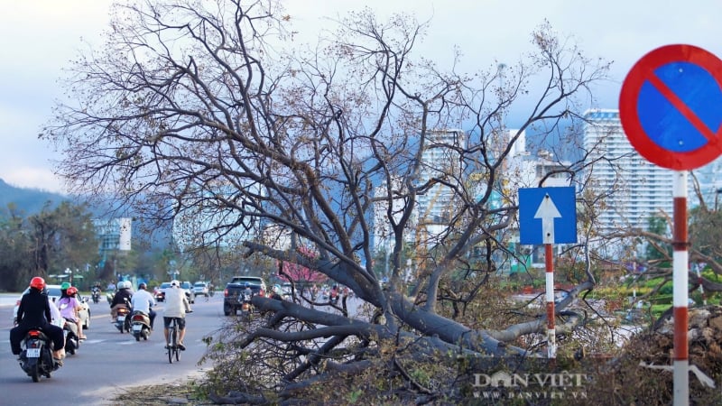 quy-nhon-guong-day-tu-nhung-vet-thuong