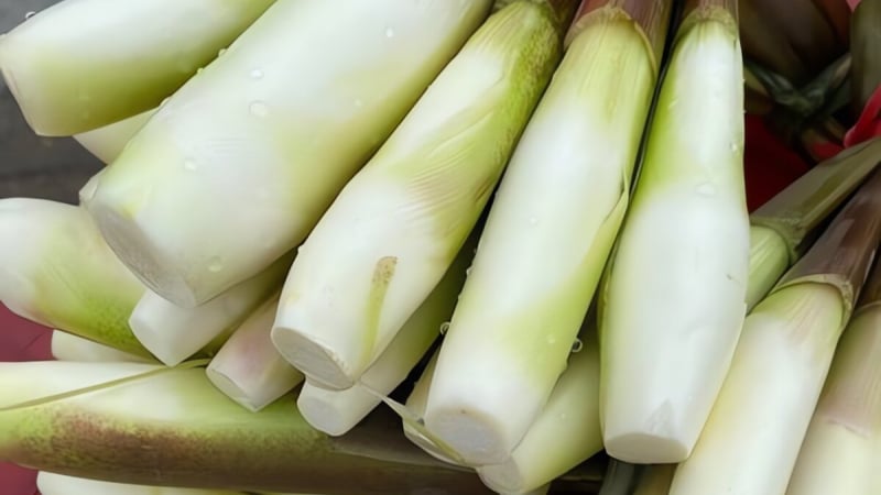 loai-cu-dac-san-cua-ninh-binh,-duoc-vi-nhu-sam-nuoc,-ngon-bo,-xao-chay-gion-ngot-vo-cung