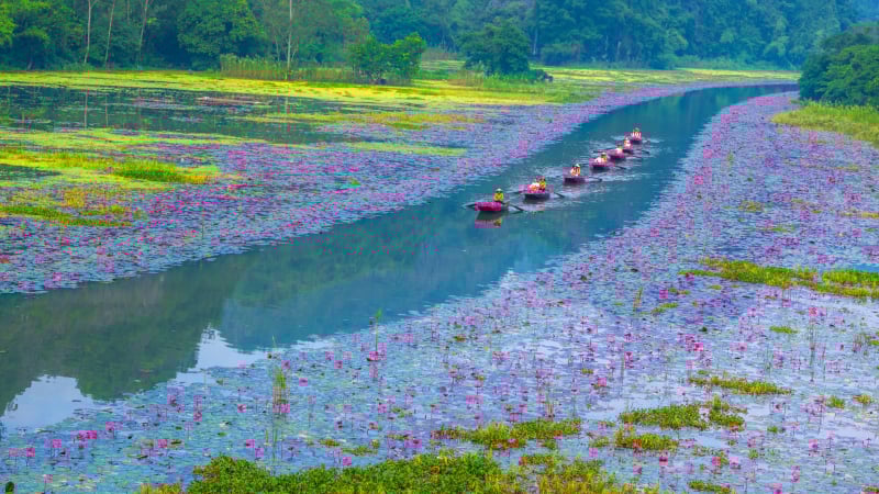 dep-nao-long-sac-thu-giua-long-di-san-the-gioi