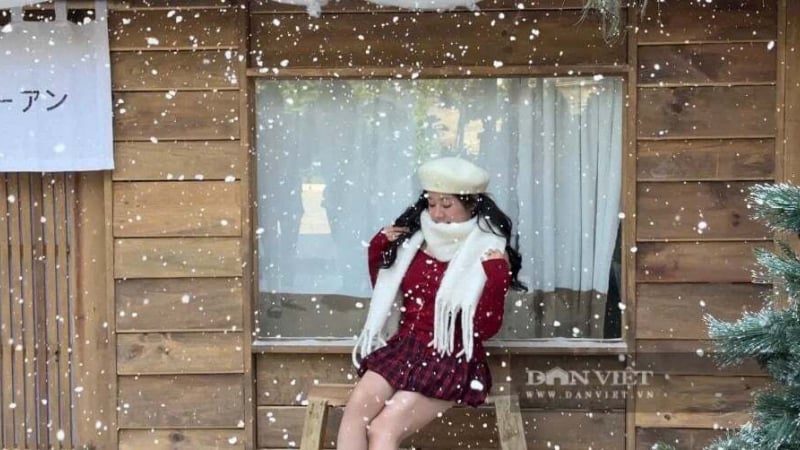 quan-ca-phe-o-ha-noi-phun-tuyet-nhan-tao-gay-“sot”-gioi-tre-mua-giang-sinh-2025