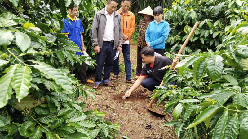 hop-tac-thuc-day-tang-truong-ben-vung-va-hien-thuc-hoa-muc-tieu-net-zero-tai-viet-nam