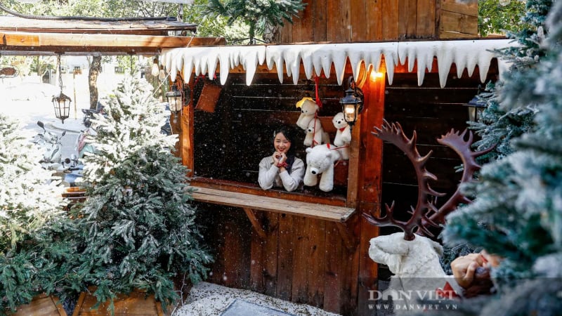 tranh-thu-thoi-tiet-ly-tuong,-gioi-tre-ha-noi-xung-xinh-len-do-san-anh-giang-sinh-som