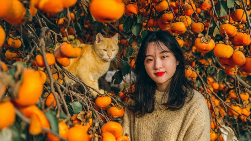 tu-vi-ngay-mai:-3-con-giap-duoc-than-tai-de-mat,-thang-11-giu-phong-do,-thang-12-gat-thanh-cong