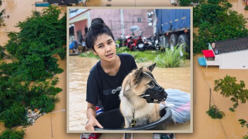 co-gai-o-tren-mai-nha-nhieu-ngay-giua-bien-nuoc,-kien-quyet-khong-roi-thu-cung