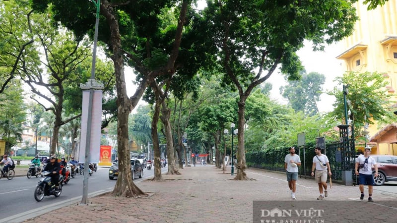 chuyen-gia-du-lich-noi-gi-khi-viet-nam-lot-top-5-quoc-gia-ly-tuong-cho-du-lich-mot-minh?