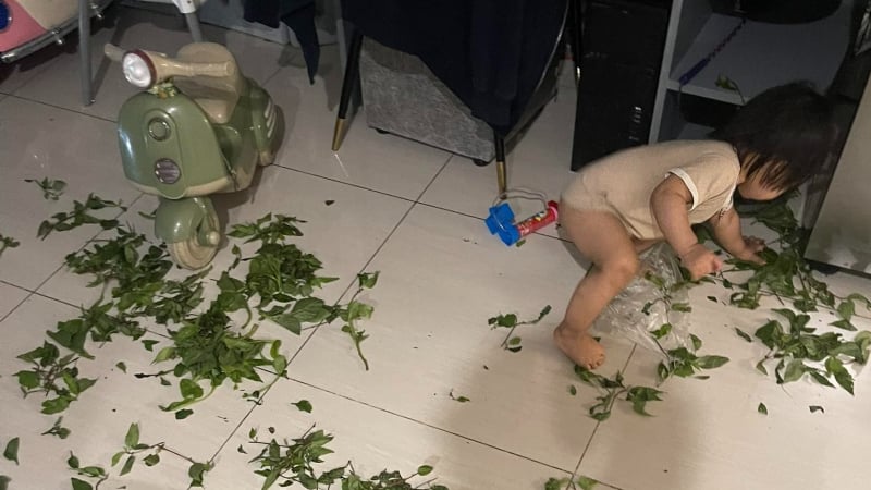 nguoi-me-o-ha-noi-dang-buc-anh-ve-bai-chien-truong-cua-con-gai-nho-khien-ai-cung-bat-cuoi