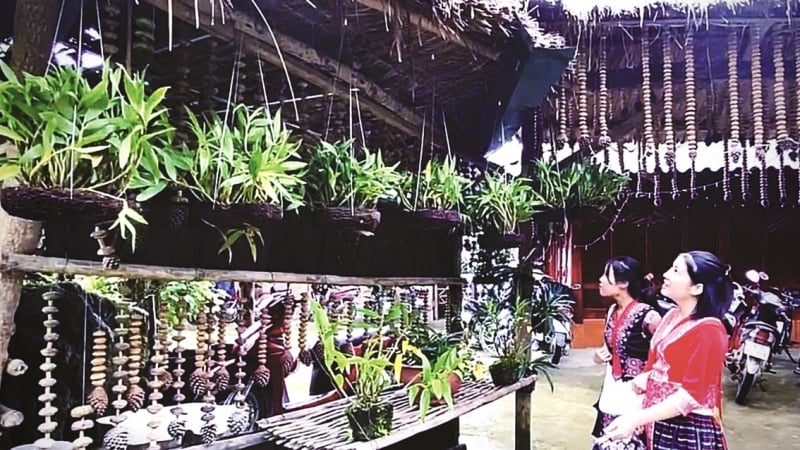 ve-lao-chai-1-o-lai-chau-xem-dong-bao-mong-lam-du-lich,-khach-den-ai-cung-me