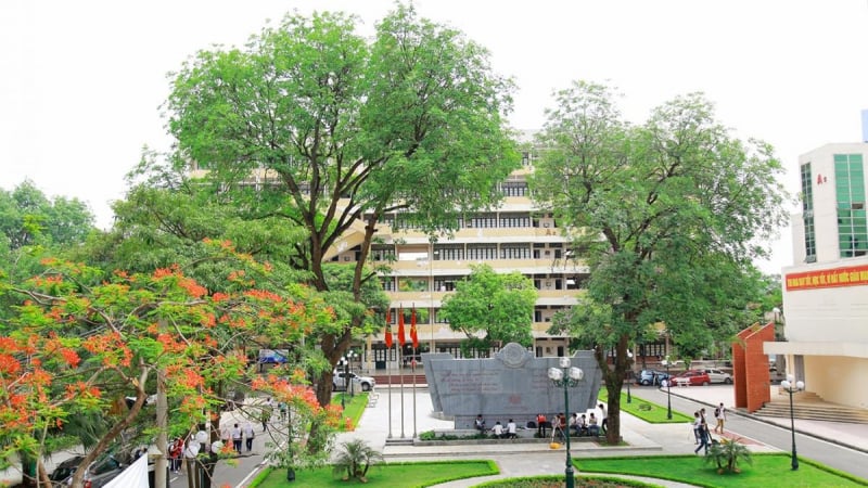 2-nu-pho-giao-su-cung-co-ten-an-tuong-nhat-nam-2025,-bat-ngo-cong-tac-chung-mot-truong-dai-hoc