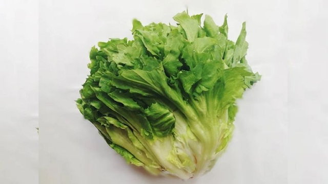 2-loai-rau-“khoai-khau”-de-thanh-o-san,-coi-chung-loai-so-1-mua-nao-cung-co