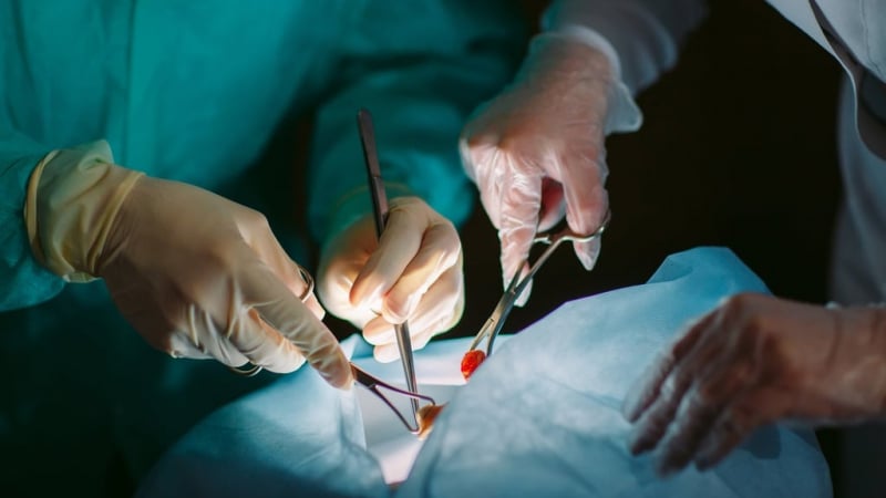 hy-huu:-khong-hien-gan-cuu-chong,-nguoi-vo-bi-kien-ra-toa