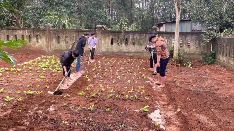 hoc-sinh-cham-tien-hoa-than-thanh-nong-dan-trong-“buoi-hoc-dac-biet”-o-quang-tri