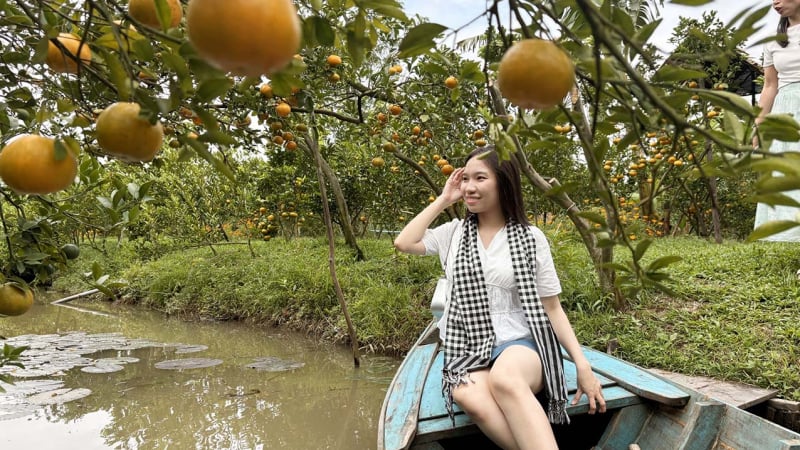 quyt-hong-dong-thap:-loai-qua-vua-thom-ngot-cu-vao-mua-lai-dong-khach-den-check-in-va-mua-mang-ve