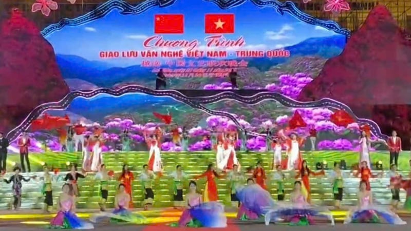 lai-chau:-hang-tram-cay-so-bien-gioi-tro-bong-huu-nghi