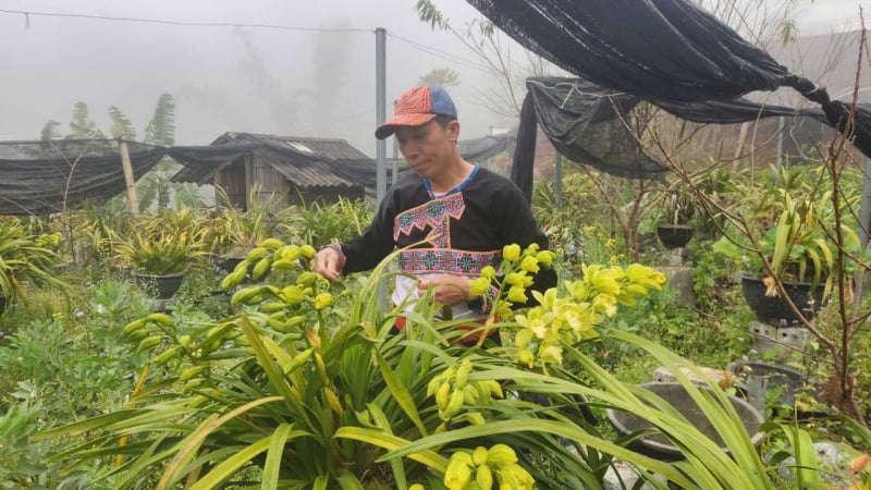 sin-suoi-ho-lam-du-lich-“khong-giong-ai”,-thu-tien-ty-giua-dai-ngan-lai-chau