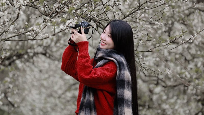 moc-chau-tet-duong-lich-co-gi?:-cap-nhat-hoa-man-bung-no-vao-nghi-le-tet-duong-lich