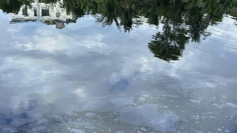 xuat-hien-vet-dau-loang-tai-song-cu-de-o-da-nang