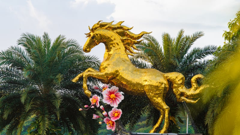 can-canh-ngua-vang-khong-lo-chao-xuan-binh-ngo-2026-tai-da-nang