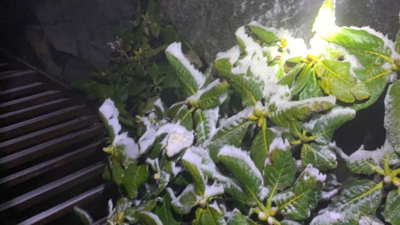 bang-gia-phu-trang-dinh-fansipan,-nhiet-do-–-3-do