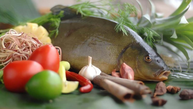 loai-ca-nghe-ten-da-thom-phuc,-protein-nhieu-hon-ca-chep,-ngon-hon-ca-diec,