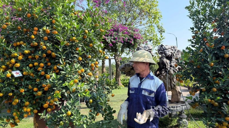 quat-tet-ha-noi-chay-hang-som:-chua-den-cao-diem-da-ban-het-qua-nua