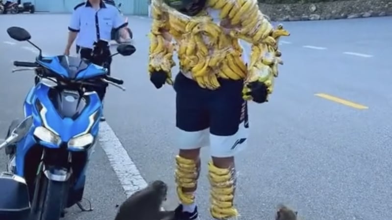 da-nang:-quan-chuoi-vao-nguoi-“dua-gion”-voi-khi-son-tra,-du-khach-nuoc-ngoai-bi-nhac-nho