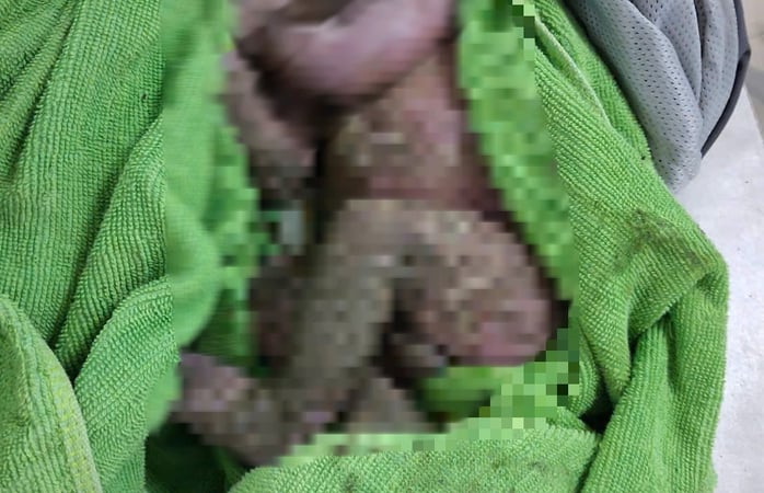 hanh-trinh-tu-cua-tu-tro-ve-cua-thien-than-nho-bi-bo-roi-giua-bun-dat