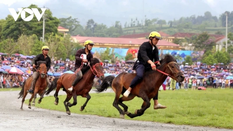 khong-yen,-khong-ban-dap:-xem-ky-si-nong-dan-bay-tren-lung-ngua