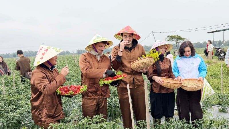 bat-ngo-lang-que-sat-vach-san-bay-noi-bai:-du-khach-thich-thu-cuoc-dat,-hai-ot-an-tai-cho