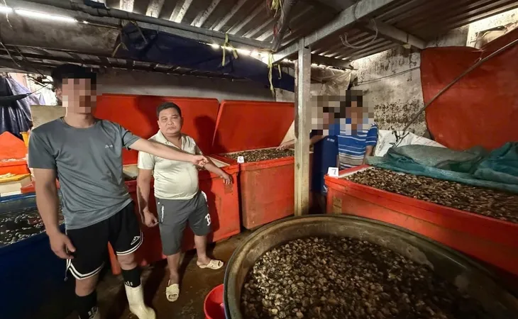 oc-buou-ngam-hoa-chat-natri-silicate-am-tham-dau-doc-gan-than-the-nao?