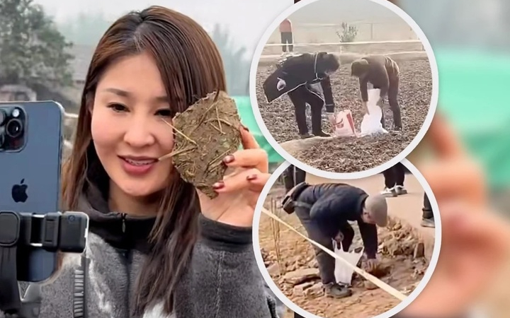 con-sot-mo-lon-tet-gay-nao-loan-mang-xa-hoi-xu-trung